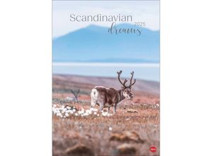 9783756408368 - Scandinavian Dreams Posterkalender 2025