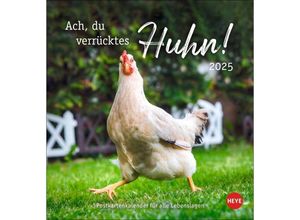 9783756408573 - Hühner Postkartenkalender 2025 - Ach du verrücktes Huhn!