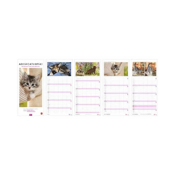 9783756413126 - Familienkalender 20591 Whiskas Katzen 1 Monat   1 Seite 5 Spalten 21x45cm 2025 9783756413126 Heye