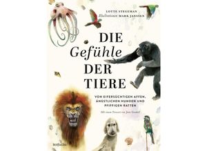 9783757100063 - Stegeman Lotte Die Gefühle der Tiere Von eifersüchtigen Affen ängstlichen Hunden und pfiffigen Ratten