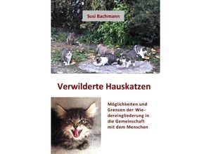 9783757512910 - Verwilderte Hauskatzen - Susi Bachmann Kartoniert (TB)