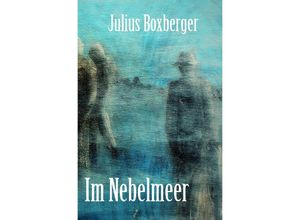 9783757546229 - Im Nebelmeer - Julius Boxberger Kartoniert (TB)