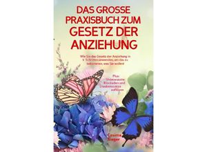 9783757553524 - DAS GROSSE PRAXISBUCH ZUM GESETZ DER ANZIEHUNG! Wie Sie das Gesetz der Anziehung in 5 Schritten anwenden um das zu bekommen was Sie wollen! - Cosima Sieger Kartoniert (TB)