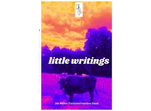 9783757574178 - little writings - Jan Wolter Kartoniert (TB)