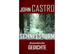 9783758432071 - Schneesturm - John Castro Kartoniert (TB) 9783758432071 - Schneesturm - John Castro Kartoniert (TB)
