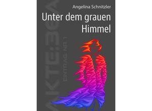 9783758472893 - Unter dem grauen Himmel - Angelina Schnitzler Kartoniert (TB)