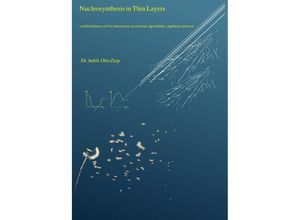 9783758481079 - Nucleosynthesis in Thin Layers - Otto Ziep Kartoniert (TB)