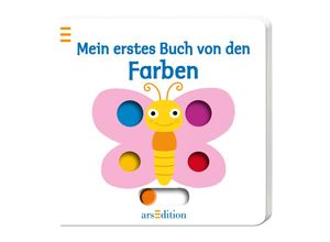 9783760788593 - Mein erstes Buch   Mein erstes Buch von den Farben - Nathalie Choux Pappband