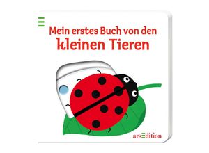 9783760798547 - kein Autor - GEBRAUCHT Mein erstes Buch von den kleinen Tieren - Preis vom 02062023 050629 h