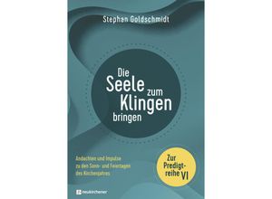 9783761569405 - Die Seele zum Klingen bringen - Zur Predigtreihe VI - Stephan Goldschmidt Gebunden