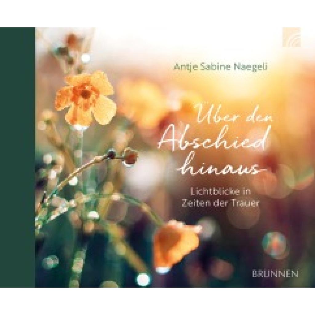 9783765533228 - Naegeli Antje Sabine Über den Abschied hinaus