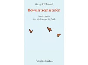 9783772521768 - Bewusstseinsstufen - Georg Kühlewind Kartoniert (TB)