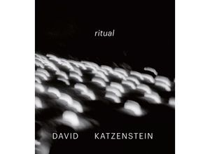 9783777439372 - David Katzenstein Gebunden