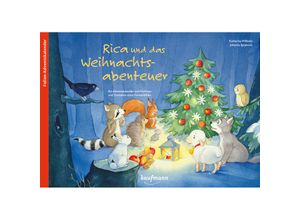 9783780609014 - Rica und das Weihnachtsabenteuer Ein Folien-Adventskalender zum Vorlesen und Gestalten eines Fensterbildes