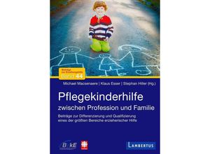 9783784128559 - Pflegekinderhilfe - Michael Macsenaere Klaus Esser Stephan Hiller Gebunden