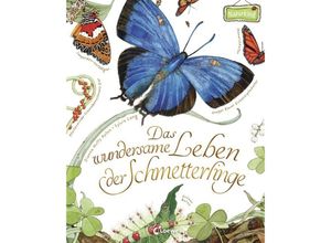 9783785587508 - Naturkind   Das wundersame Leben der Schmetterlinge - Dianna Hutts Aston Gebunden