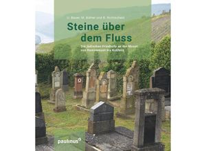 9783790219067 - Steine über dem Fluss - Uwe F W Bauer Marianne Bühler René Richtscheid Gebunden