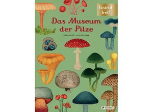 9783791374529 - Das Museum der Pilze - Ester Gaya Katie Scott Gebunden