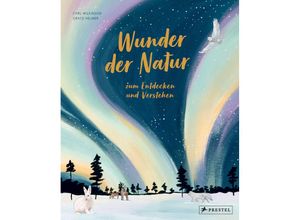 9783791374925 - Wunder der Natur zum Entdecken und Verstehen - Carl Wilkinson Gebunden