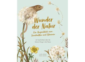 9783791375434 - Wunder der Natur Ein Augenblick zum Innehalten und Staunen - Laura Brand Freya Hartas Gebunden