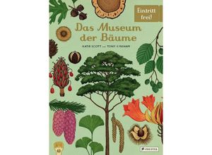 9783791375540 - Das Museum der Bäume - Tony Kirkham Katie Scott Gebunden