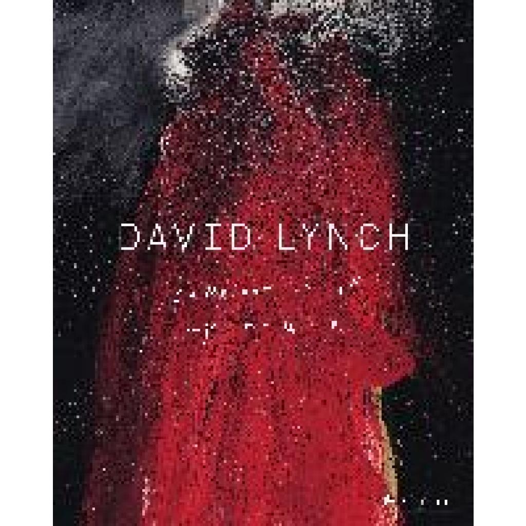 9783791387345 - David Lynch Someone is in my House - David Lynch Kristine McKenna Stijn Huijts Petra Giloy-Hirtz Kartoniert (TB)