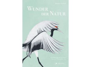 9783791389462 - Wunder der Natur - Beatrice Forshall Gebunden