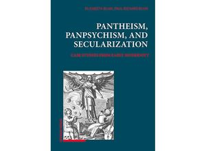 9783796551260 - Pantheism Panpsychism and Secularization - Elisabeth Blum Paul Richard Blum Gebunden