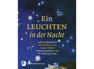 9783796615924 - Ein Leuchten in der Nacht Taschenbuch