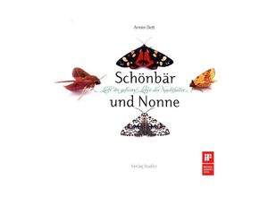 9783797705709 - Schönbär und Nonne - Armin Dett Gebunden