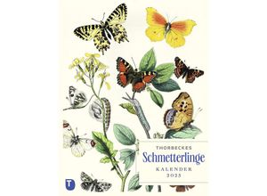 9783799520492 - Thorbeckes Schmetterlinge-Kalender 2025