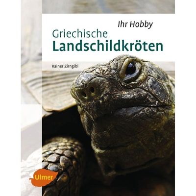 9783800103287 - Ihr Hobby   Griechische Landschildkröten - Rainer Zirngibl Gebunden