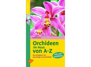 9783800156498 - Orchideen im Haus von A-Z - Isabelle Bert Kartoniert (TB)