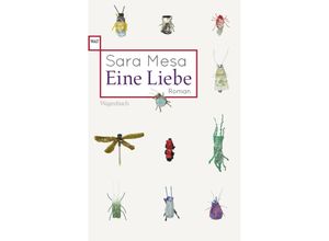 9783803128645 - Eine Liebe - Sara Mesa Taschenbuch