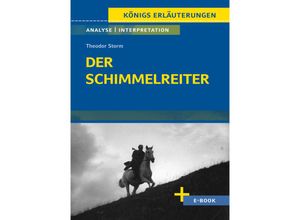 9783804420960 - Der Schimmelreiter von Theodor Storm - Textanalyse und Interpretation - Theodor Storm Gebunden