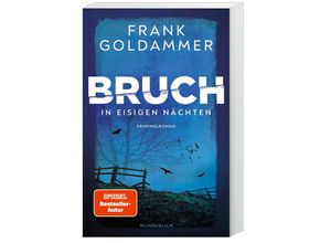 9783805200912 - In eisigen Nächten   Felix Bruch Bd2 - Frank Goldammer Kartoniert (TB)