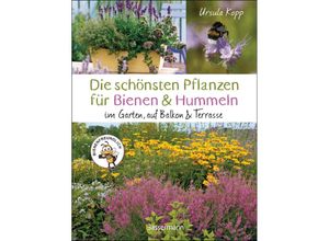 9783809447603 - Die schönsten Pflanzen für Bienen und Hummeln uva nützliche Insekten Für Garten Balkon & Terrasse - Ursula Kopp Gebunden