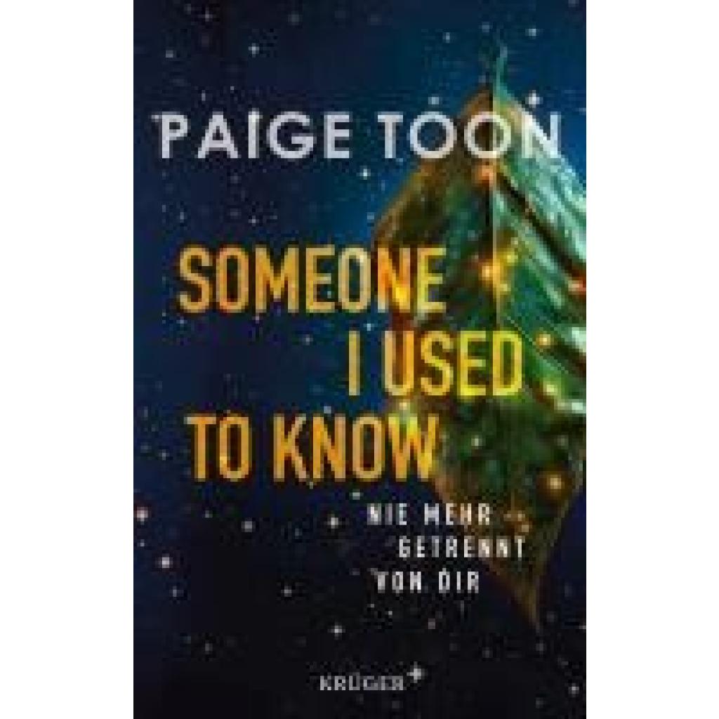 9783810501226 - Toon Paige Someone I Used to Know