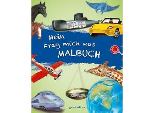 9783811235212 - Mein Frag mich was Malbuch Kartoniert (TB)