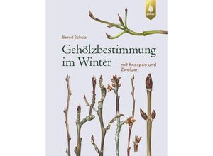 9783818611385 - Gehölzbestimmung im Winter - Bernd Schulz Gebunden