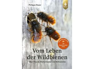 9783818613426 - Vom Leben der Wildbienen - Philippe Boyer Gebunden