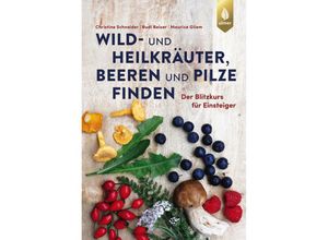 9783818616656 - Wild- und Heilkräuter Beeren und Pilze finden - Christine Schneider Rudi Beiser Maurice Gliem Kartoniert (TB)