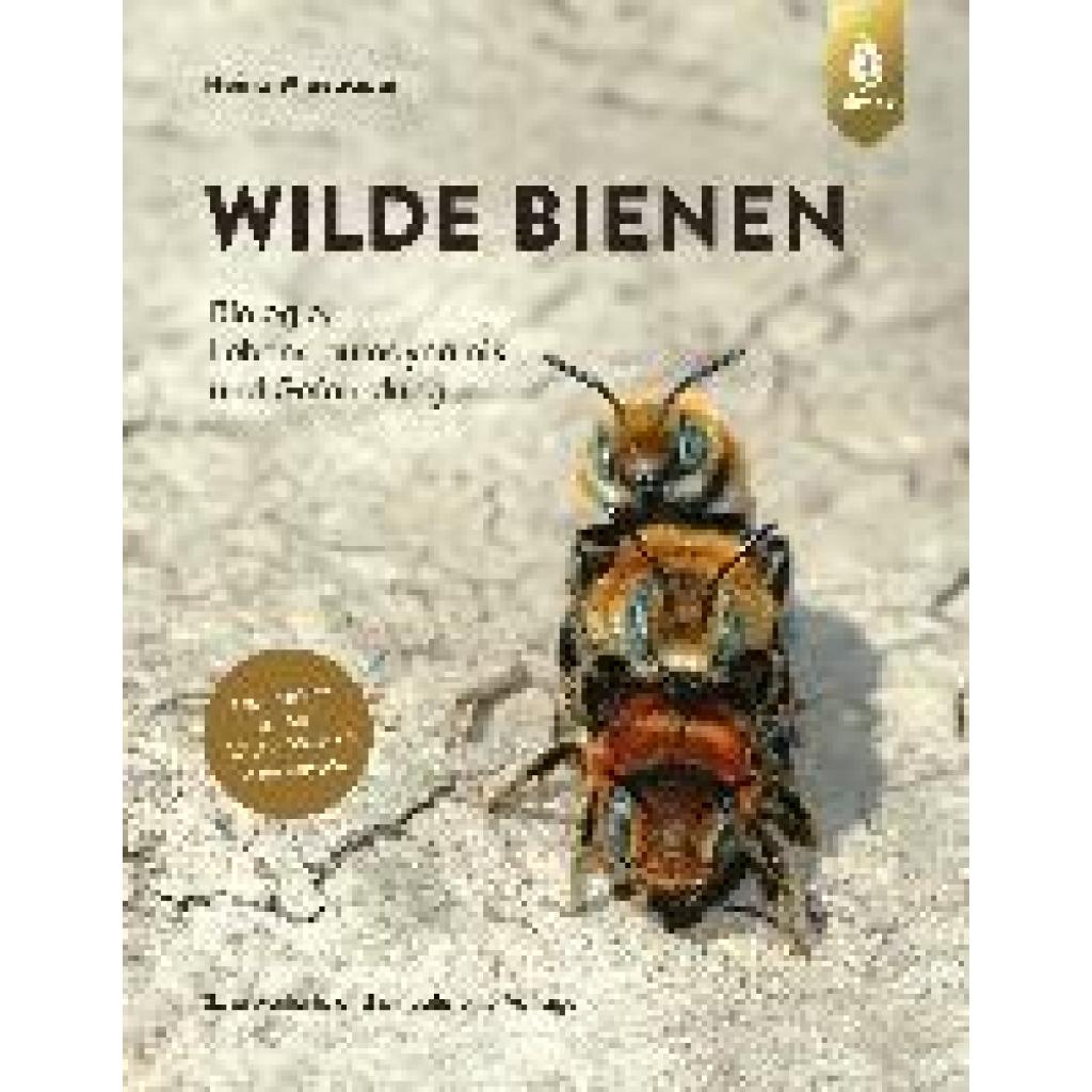 9783818617172 - Wiesbauer Heinz Wilde Bienen