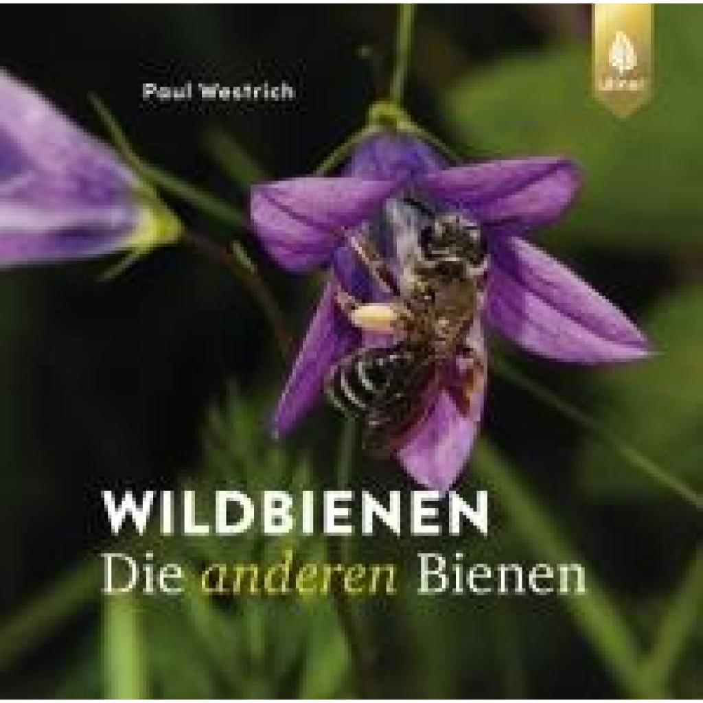 9783818620868 - Westrich Paul Wildbienen die anderen Bienen