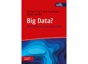 9783825254421 - Big Data? Frag doch einfach! - Detlev Frick Jens Kaufmann Birgit Lankes Taschenbuch