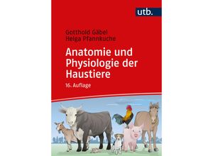 9783825261511 - Anatomie und Physiologie der Haustiere - Gotthold Gäbel Helga Pfannkuche Taschenbuch