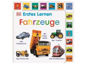 9783831045631 - Erstes Lernen   Erstes Lernen Fahrzeuge Pappband