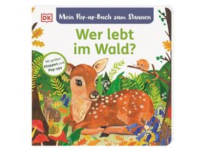 9783831047161 - Mein Pop-up-Buch zum Staunen Wer lebt im Wald? - Sandra Grimm Pappband