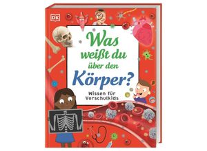 9783831048496 - Wissen für Vorschulkids Was weißt du über den Körper? - Bipasha Choudhury Andrea Mills Gebunden