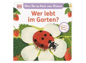 9783831048786 - Mein Pop-up-Buch zum Staunen Wer lebt im Garten? - Sandra Grimm Pappband